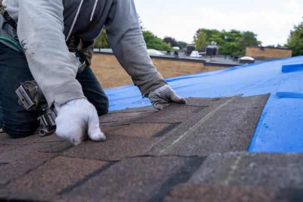 Best New Roof Installation  in Warroad, MN