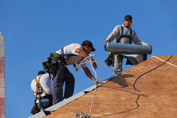 Best Best Roofing Contractors  in Warroad, MN