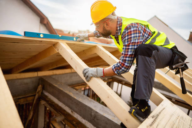 Best Roof Maintenance Services  in Warroad, MN