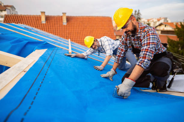 Best Residential Roofing Contractor  in Warroad, MN
