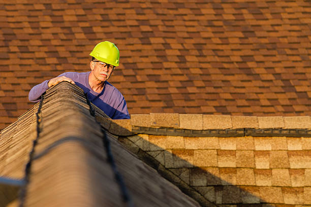 Best Commercial Roofing Services  in Warroad, MN