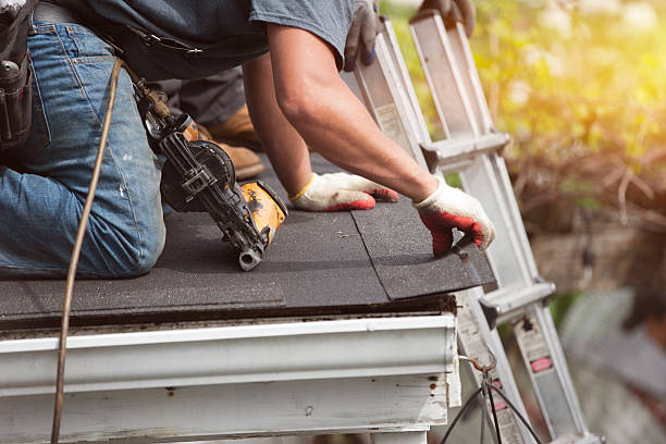 Best Roof Repair Services  in Warroad, MN