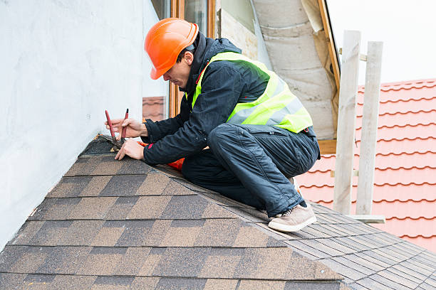 Best Flat Roof Repair Services  in Warroad, MN