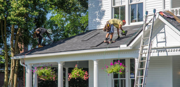 Best Roof Replacement Cost  in Warroad, MN