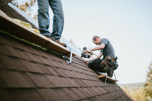 Best Local Roofing Companies  in Warroad, MN