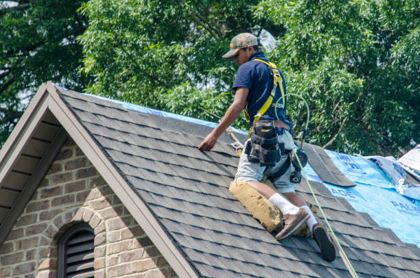 Best Roof Restoration Services  in Warroad, MN
