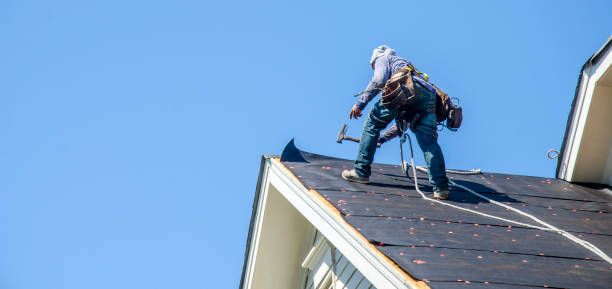Roof Installation Near Me in Warroad, MN